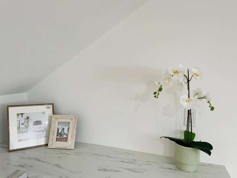 Stylish Cozy One Bedroom Studio With Free Parking 빅토리아 외부 사진